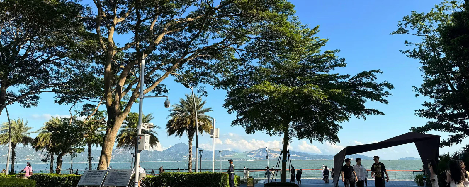 A tree-lined seaside promenade under a blue sky