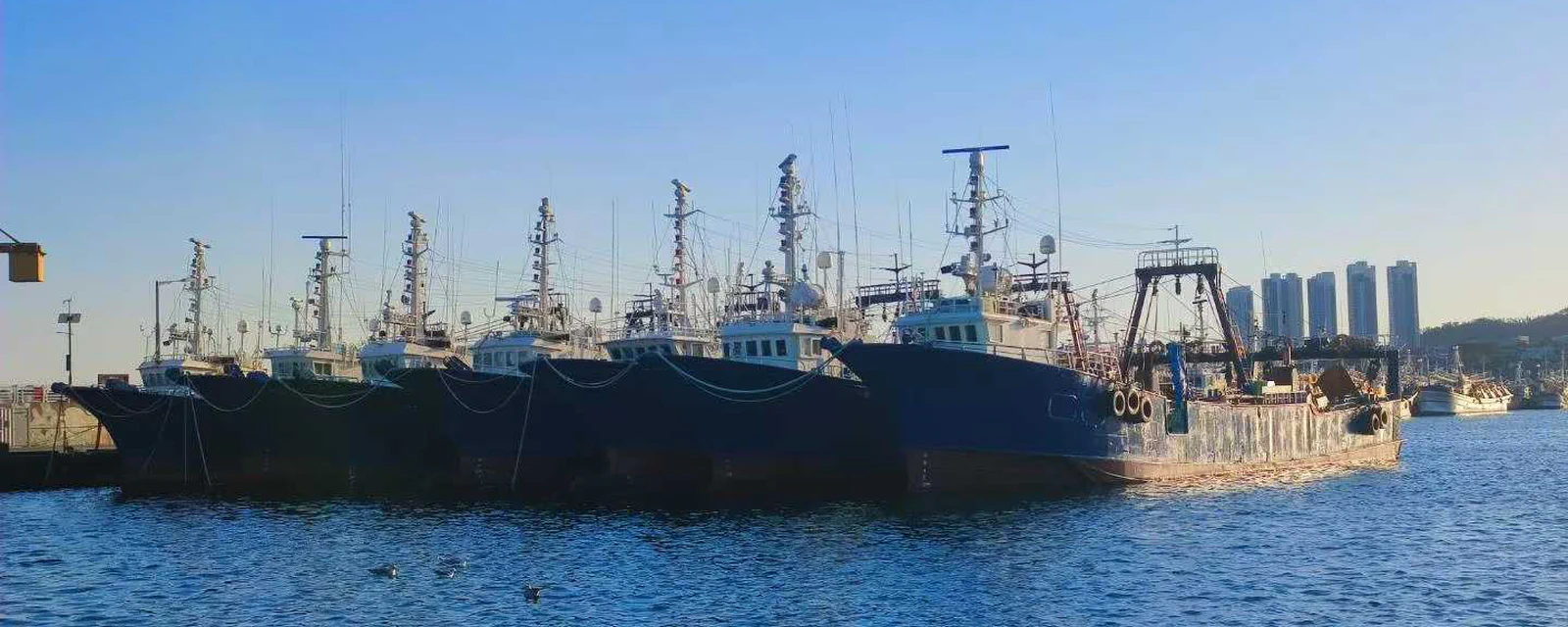 Research vessels gathered in a coastal harbor